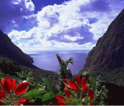 Ladera - St lucia